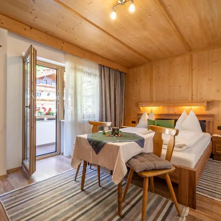 Panorama Ii Appartement Mayrhofen